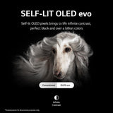 LG OLED42C2PUA 42 Inch HDR 4K Smart OLED TV (2022) (ships in 3-7 business days)